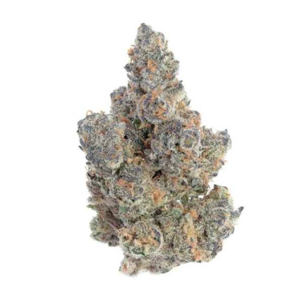 Looking to buy Sunset Sherbet strain online in Canada? Get premium quality Sunset Sherbet marijuana with fast delivery to your door. Order now for the best prices and top-notch cannabis!