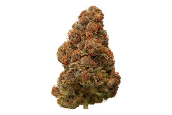 Buy Blackberry Kush Strain in Canada - Premium Quality & Fast Delivery